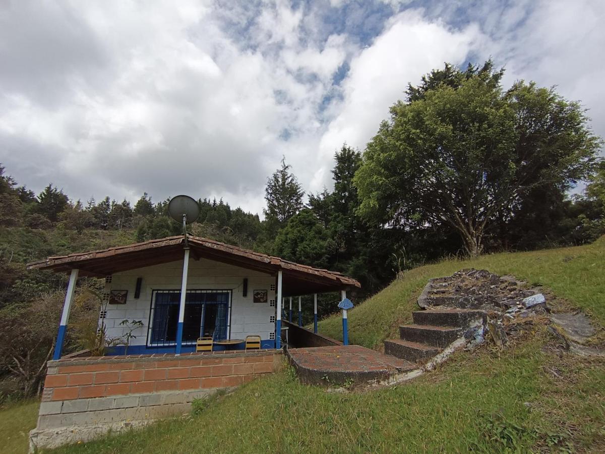 Biohotel Ecohouse Guarne Extérieur photo