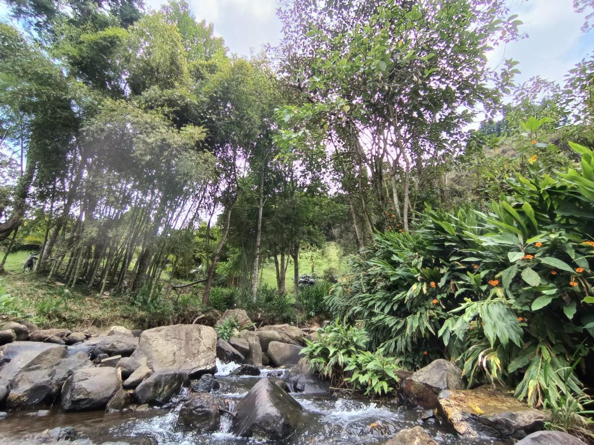 Biohotel Ecohouse Guarne Extérieur photo